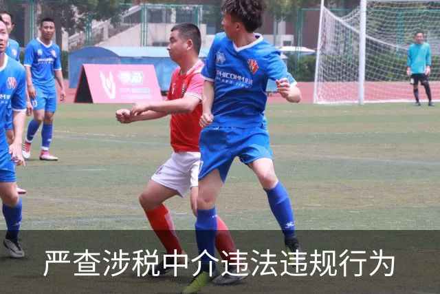 严查涉税中介违法违规行为