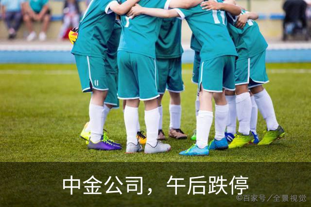 中金公司，午后跌停