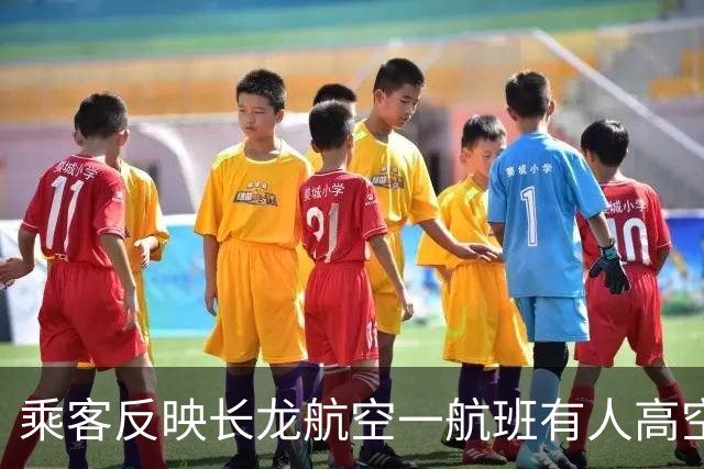 乘客反映长龙航空一航班有人高空吸烟，疑触发烟雾报警，落地后被机场公安带走；客服回应：目前尚未收到有关航班发生类似事件的通知