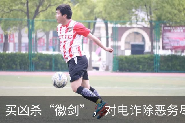 买凶杀“徽剑”，对电诈除恶务尽 | 新京报快评