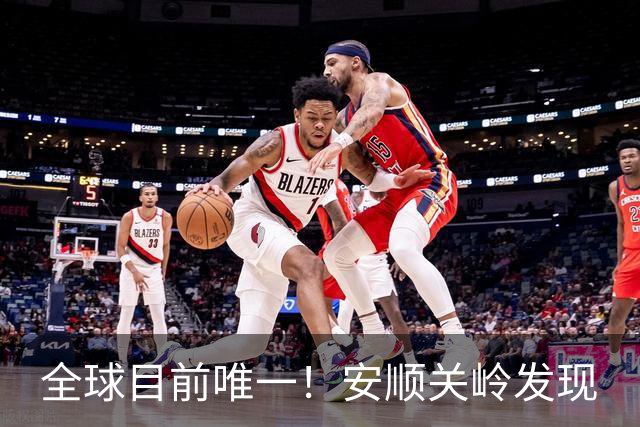 全球目前唯一！安顺关岭发现