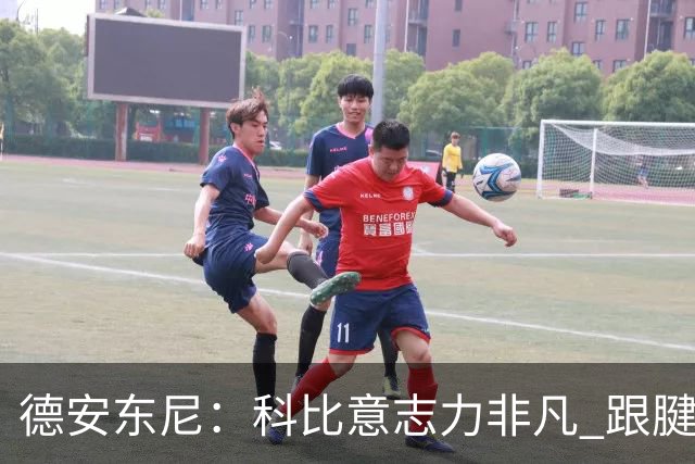 德安东尼：科比意志力非凡 跟腱受伤前那段时间根本没法让他休息