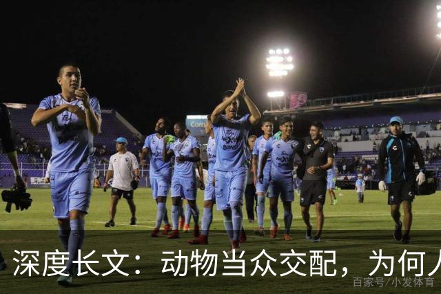 深度长文：动物当众交配，为何人类都躲起来秀恩爱？到底在躲谁？