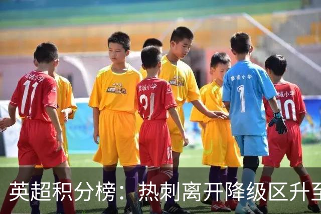 英超积分榜：热刺离开降级区升至第12，切尔西暂排第4