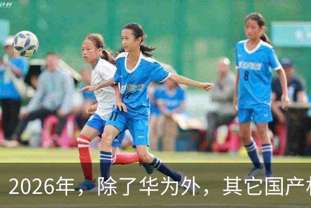 2026年，除了华为外，其它国产机都集体“凉凉”？
