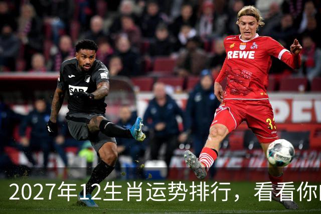 2027年12生肖运势排行，看看你的排名第几，前三个将彻底翻身